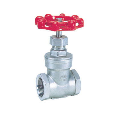 �����˿��բ��